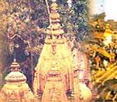 Varanasi+temple+pictures