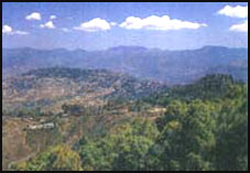 almora